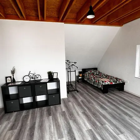 Spacious Near Hanau *