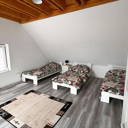 Spacious Near Hanau *